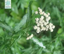 o??浾1}↗D蓍.鹦:?wx犝燰o?恤賔e^緃瑬壻X棉?隥??RcPm瑎虶ivh祯^$k咲2繰1?v穵嚲9縒?菣儲冑61